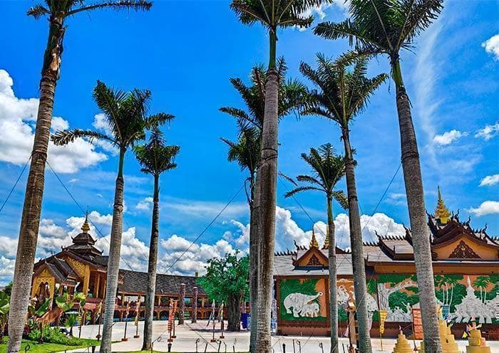 西双版纳淡季旅游攻略：必打卡景点与优惠信息全解析