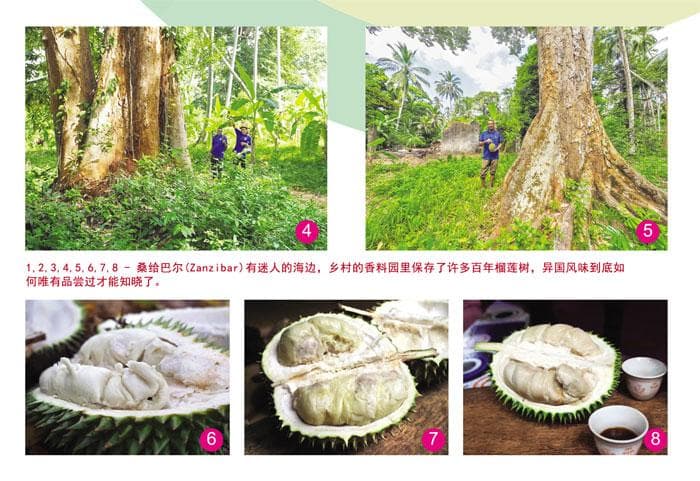 东非海岛的榴莲风情