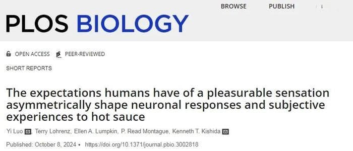 科学家揭示：对愉悦感的预期如何影响感官体验