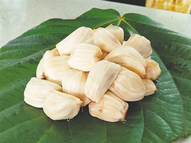 新品种“白玉苹果菠萝蜜”在琼海试种成功