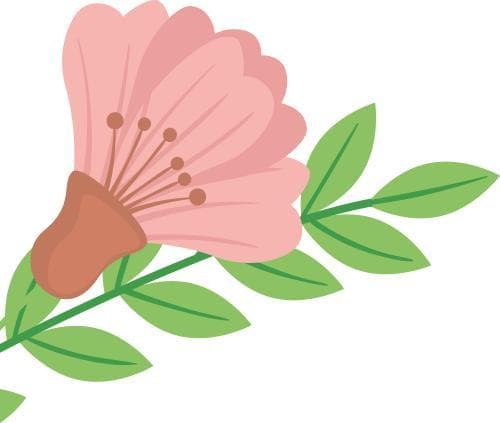 新就业形态下的女性权益保障
