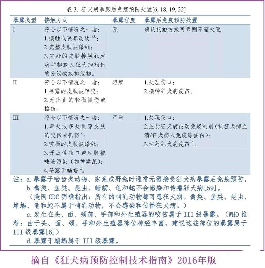 狂犬病暴露分级指南：从接触到咬伤的正确处理方法