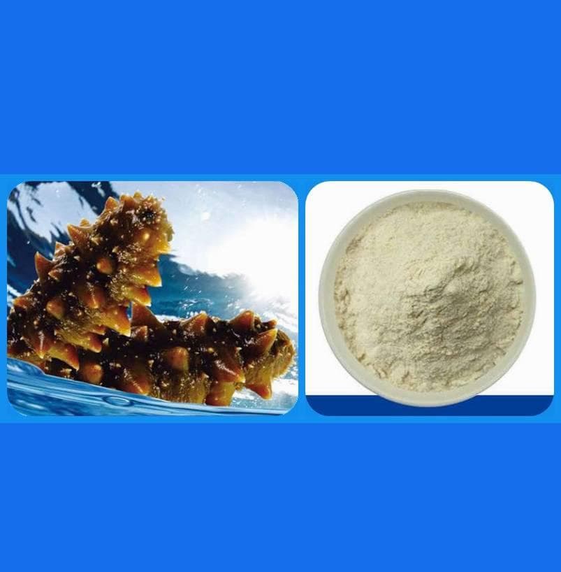 未来食品新宠：海参肽的奇效与潜力
