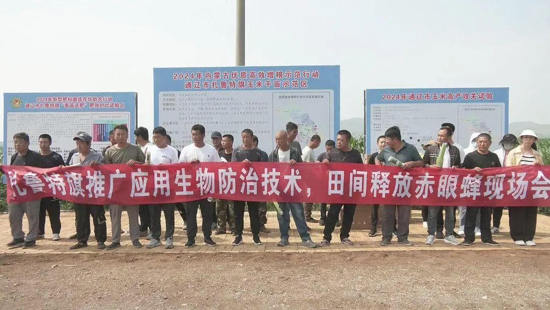 投放赤眼蜂“大战”玉米螟 助力农业绿色发展