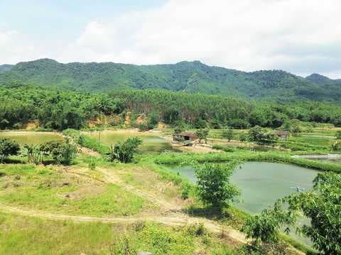 户口登记地应该怎么填