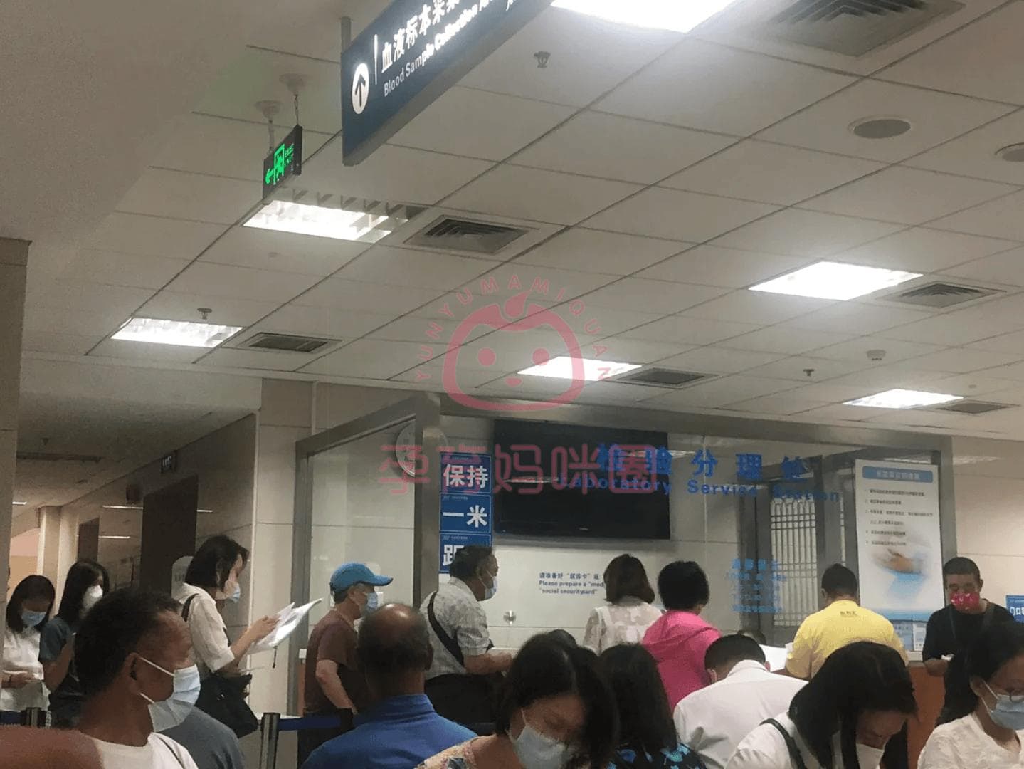 积水潭回龙观医院产检攻略：时间表、重要项目及注意事项全解析