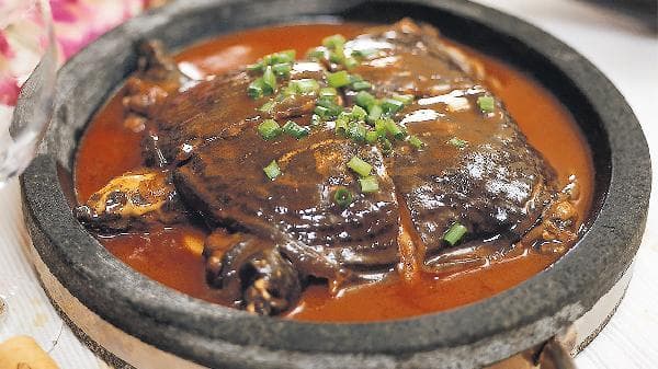 肉丸怎样做才有弹性又细滑