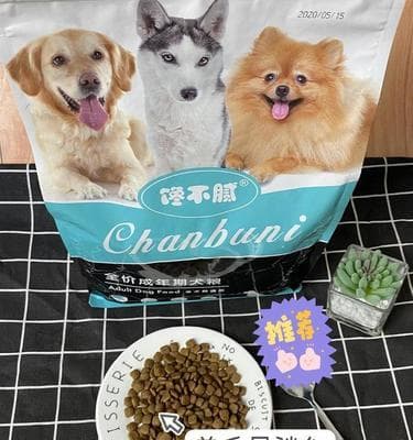 泰迪幼犬狗粮选购指南：从营养到口感全方位解析