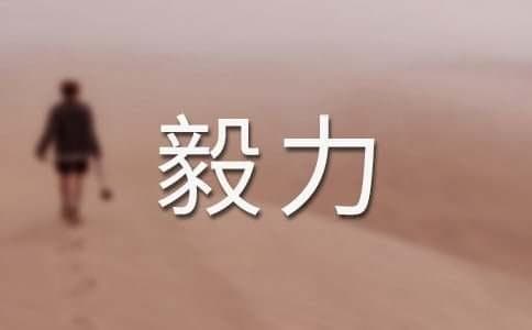 教学过程中学生学习毅力的培养策略