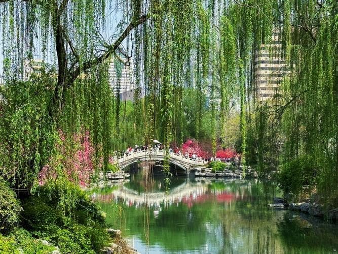 春天 有什么？春天有哪些令人惊喜的景色与事物？