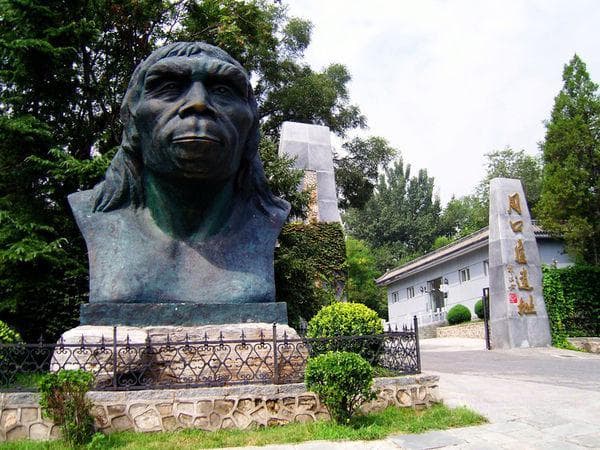 北京猿人在哪里发现的，距今多少年？