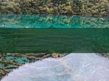 云南旅游70岁景点免费政策，包括老年人在内的游客可以享受免费入场。
