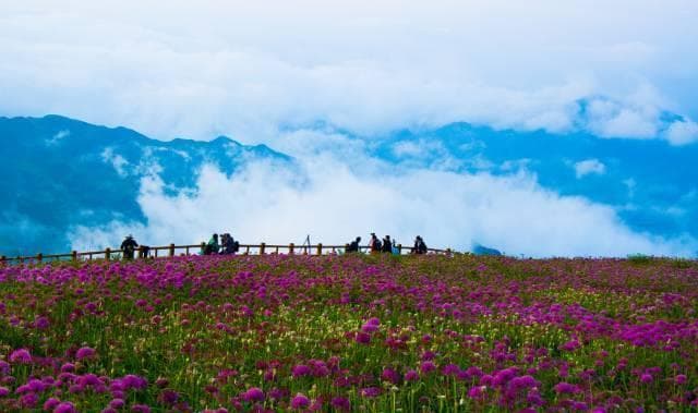 中国传统节日对联集锦：从春节到重阳的文化韵味