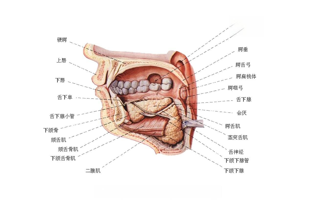 颌下淋巴结肿大的中药方