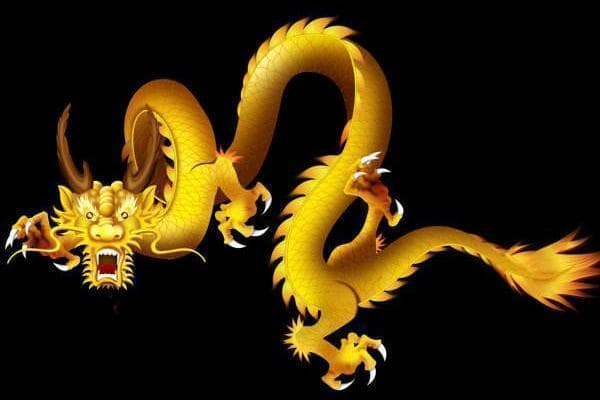 属龙的本命年：这一年出生的人，晚年身体健康，财运亨通。