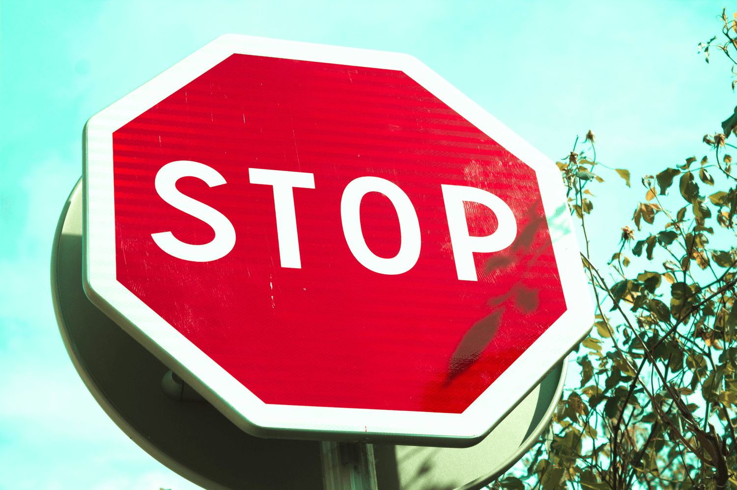 备战四六级，掌握"stop"的多重身份