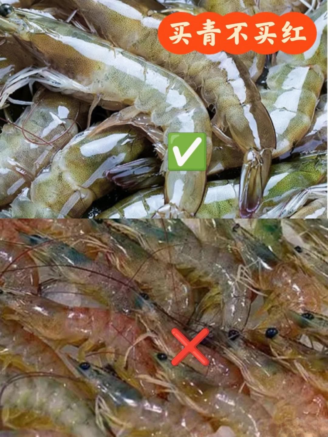 海鲜季来袭，如何成为挑选海鲜的高手？