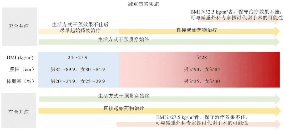 指南解读 | 肥胖患者的长期体重管理及药物临床应用指南（2024版）