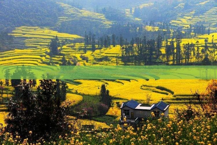 自驾游费用估算：从绵阳出发驶向新疆的路费与油费解析