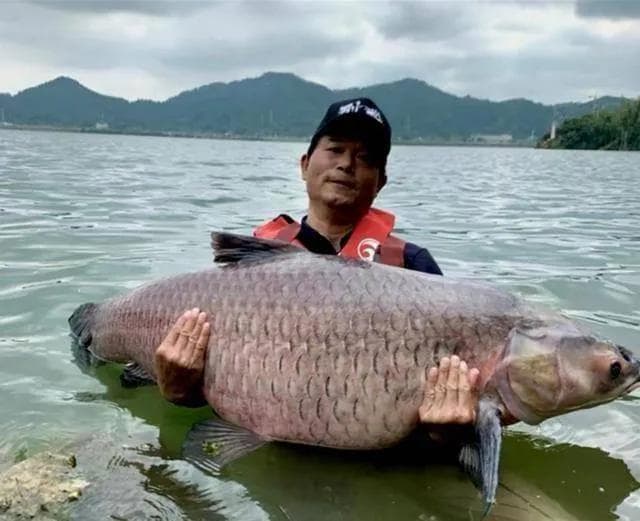 钓王邓刚：从3000万粉丝到"钓鱼界的天花板"