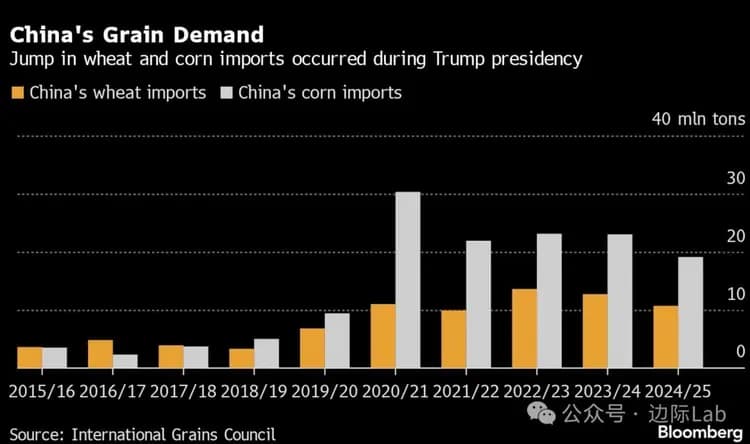 中国小麦和玉米进口需求下降：全球谷物市场面临压力