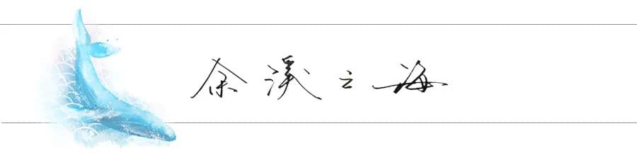 有趣的共生：虾虎鱼与枪虾饲养攻略