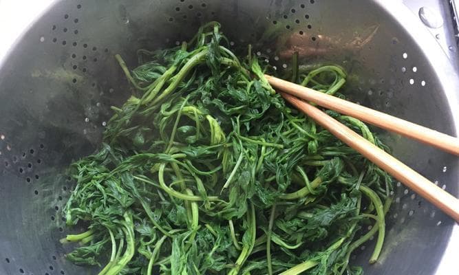 艾草团子怎么做？详解制作步骤与技巧
