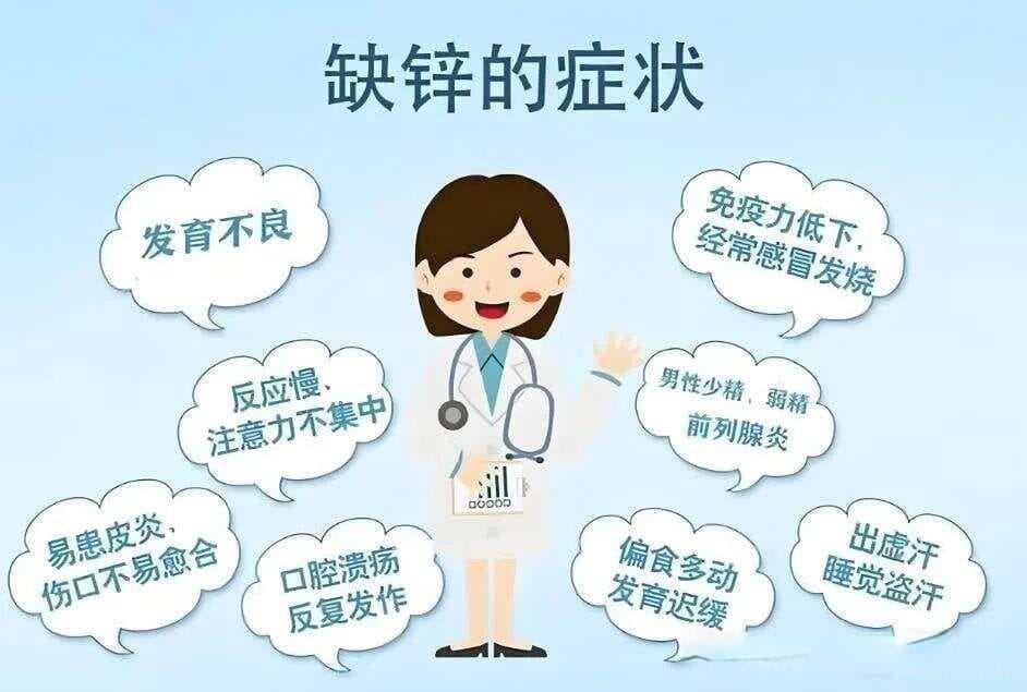 饮食指南：锌含量最高的12种食物