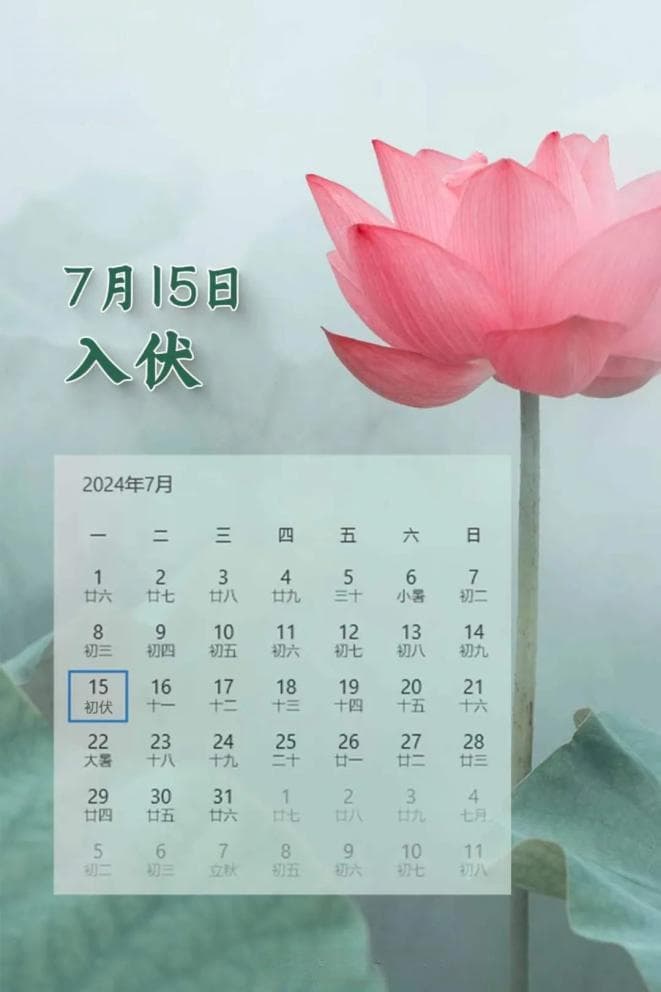 长达四十天！2024三伏时间表来了
