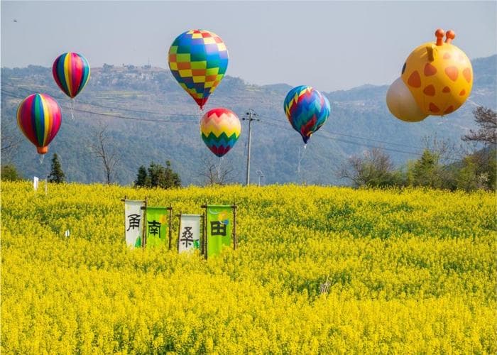 宁波“高速赏花路线”发布，四条路线带你畅游春日花海
