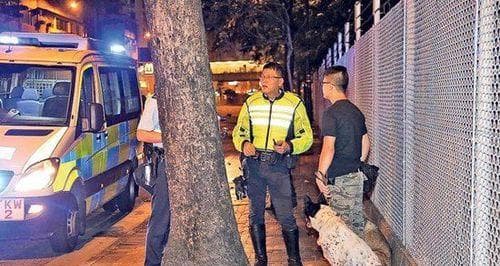 遇到被动物狗追怎么办？——应对被追狗的技巧