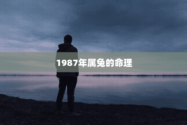 1987年属兔的命理
