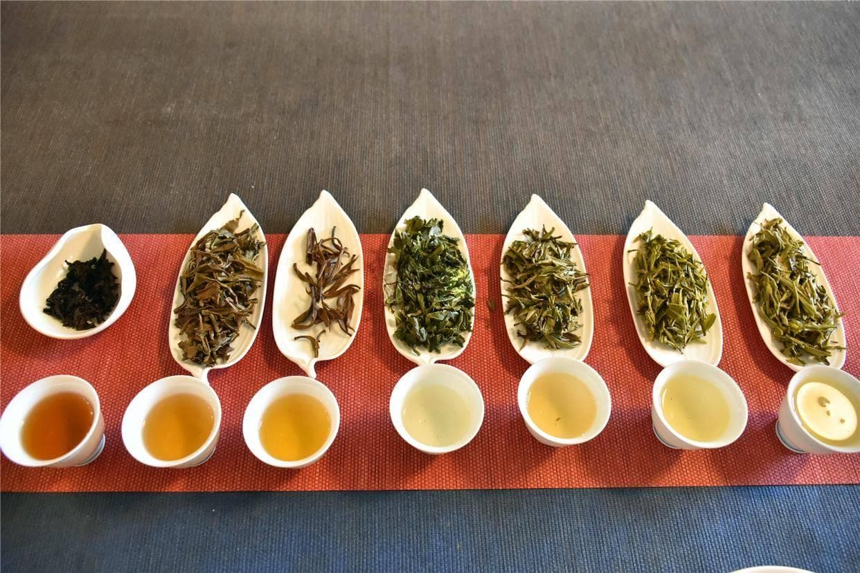 茶的种类有哪几种？一文带你领略茶的世界，品牌推荐来袭！