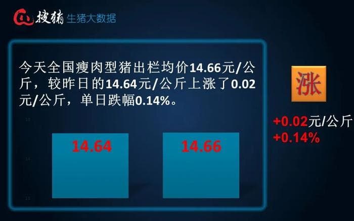 生猪全国均价14.66元 短时受供需博弈影响 猪价或延续僵持盘整走势