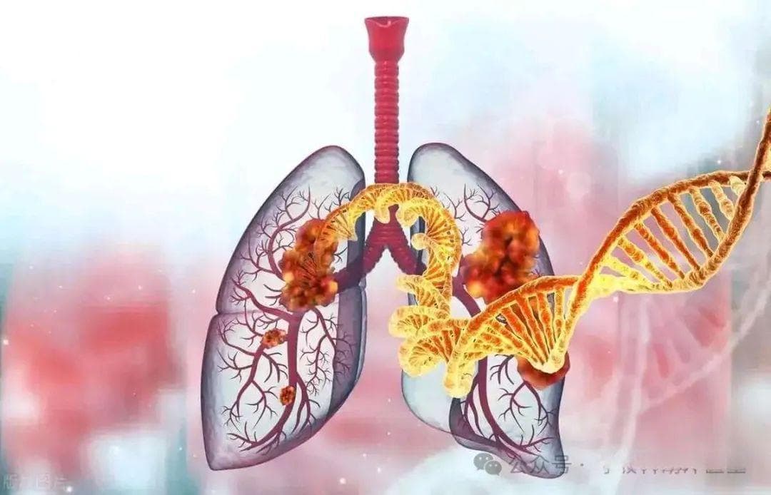 如何通过饮食提高免疫力？六种实用方法助你增强抵抗力