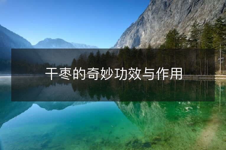 干枣的奇妙功效与作用
