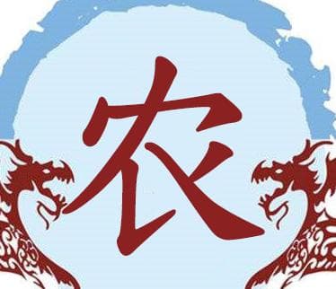 农姓的起源与来历：炎帝后裔的荣耀