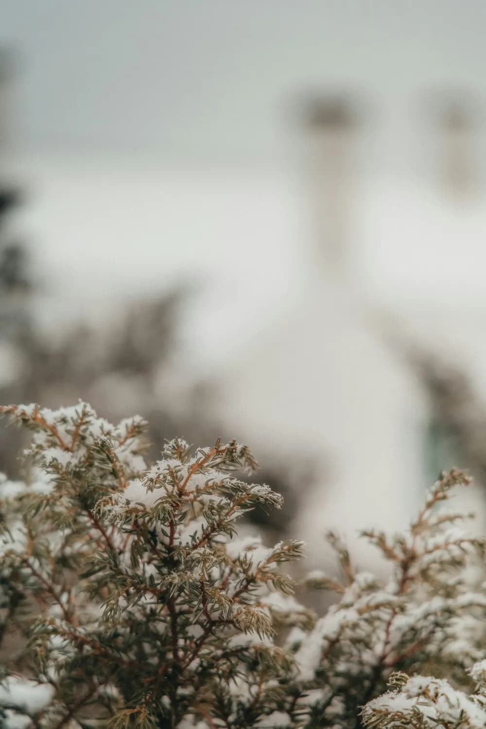 华为P30 Pro雪景摄影全攻略：从曝光到构图，轻松拍出冬日大片