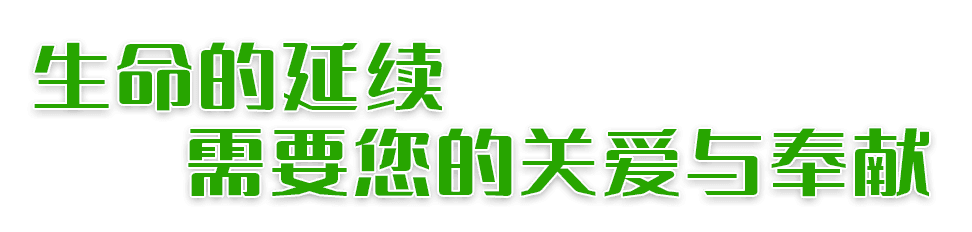 造血干细胞捐献：从科普到实践的全面指南