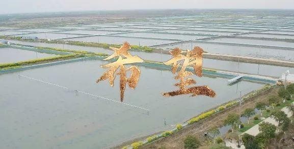 最高人民法院微电影获奖作品《法治故事会》第四季：用真实案例讲述法律故事