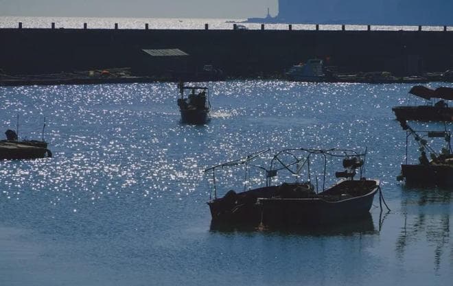 广西北海：冬日里的海岛度假胜地，尽享温暖与文化