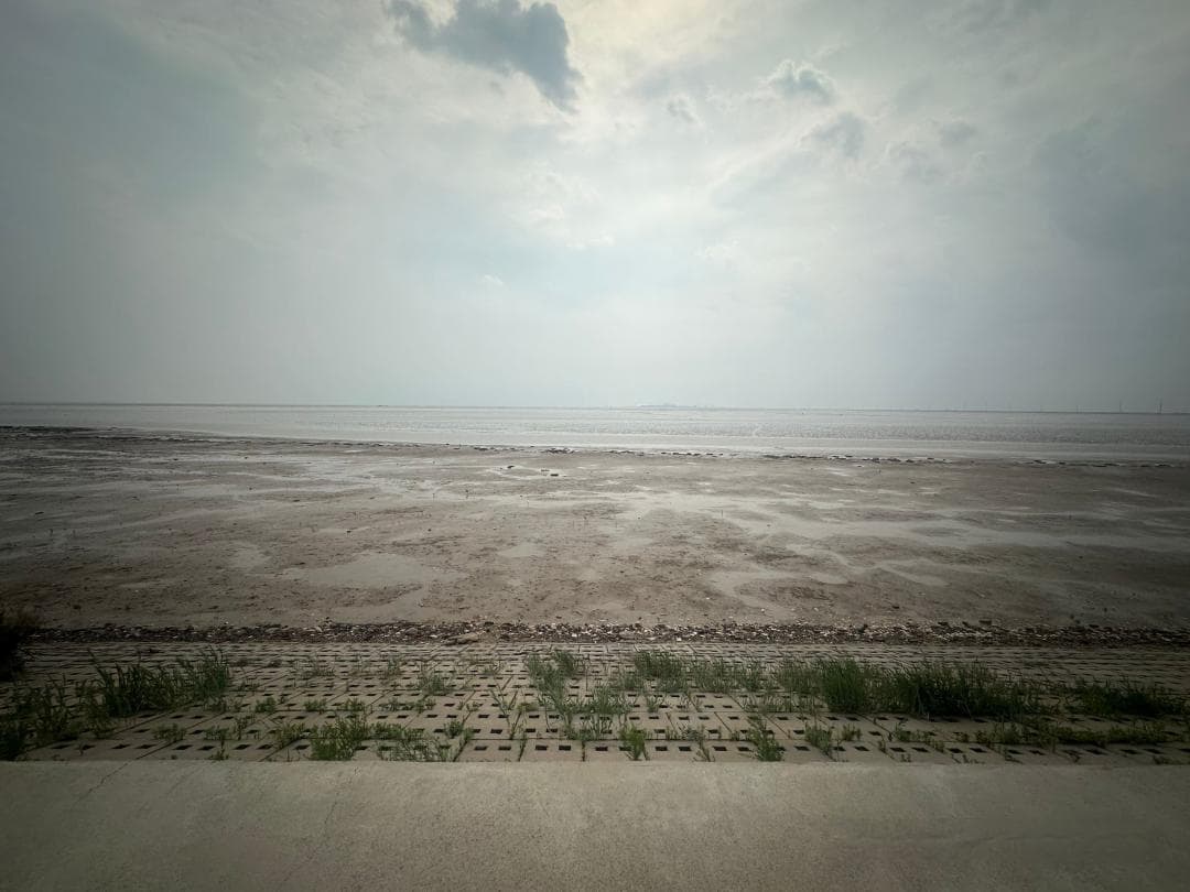 到东营黄河口，种一天海草海草海草海草，随风飘摇