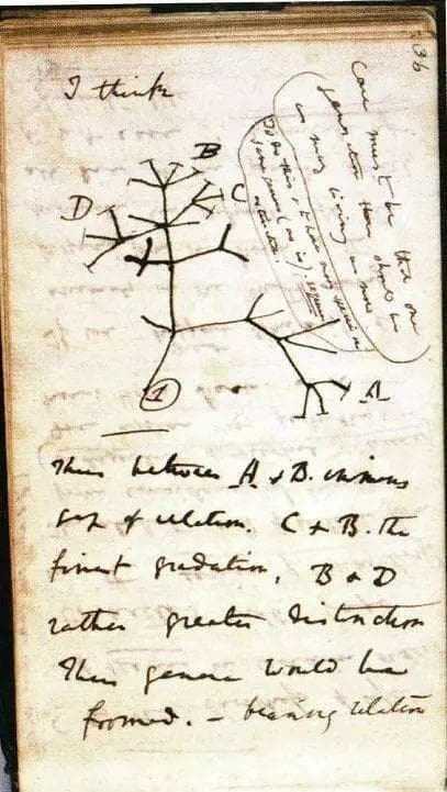 科学阶梯丨165年前，这本书的出版开启了一个时代