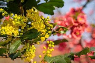 春季蔬菜种植指南：这些蔬菜最适合春季露地栽培
