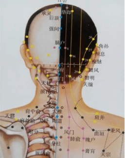 耳鸣是身体发出的报警？
