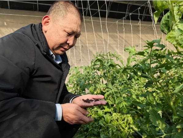 把风险留给自己，把收入留给农民！蒋洪波垫资千万元助农致富
