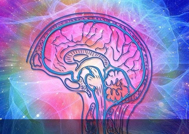 8个趣味脑筋急转弯，助力7岁儿童智力开发