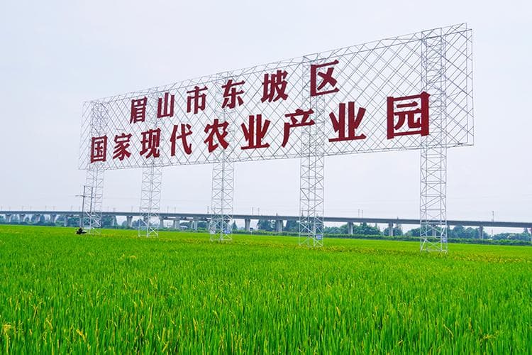 天府粮仓故事｜眉山东坡永丰村：城乡无缝融合 驶入乡村振兴快车道