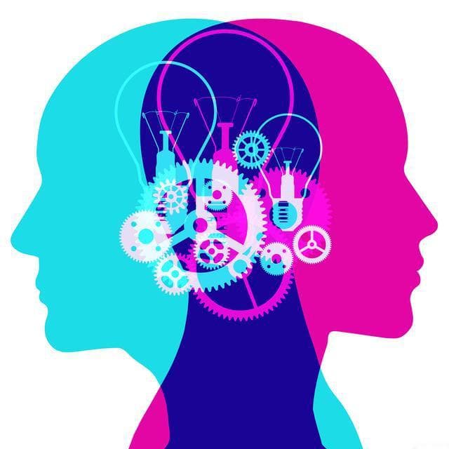 认知水平与学历的关系：高知者真的更聪明吗？