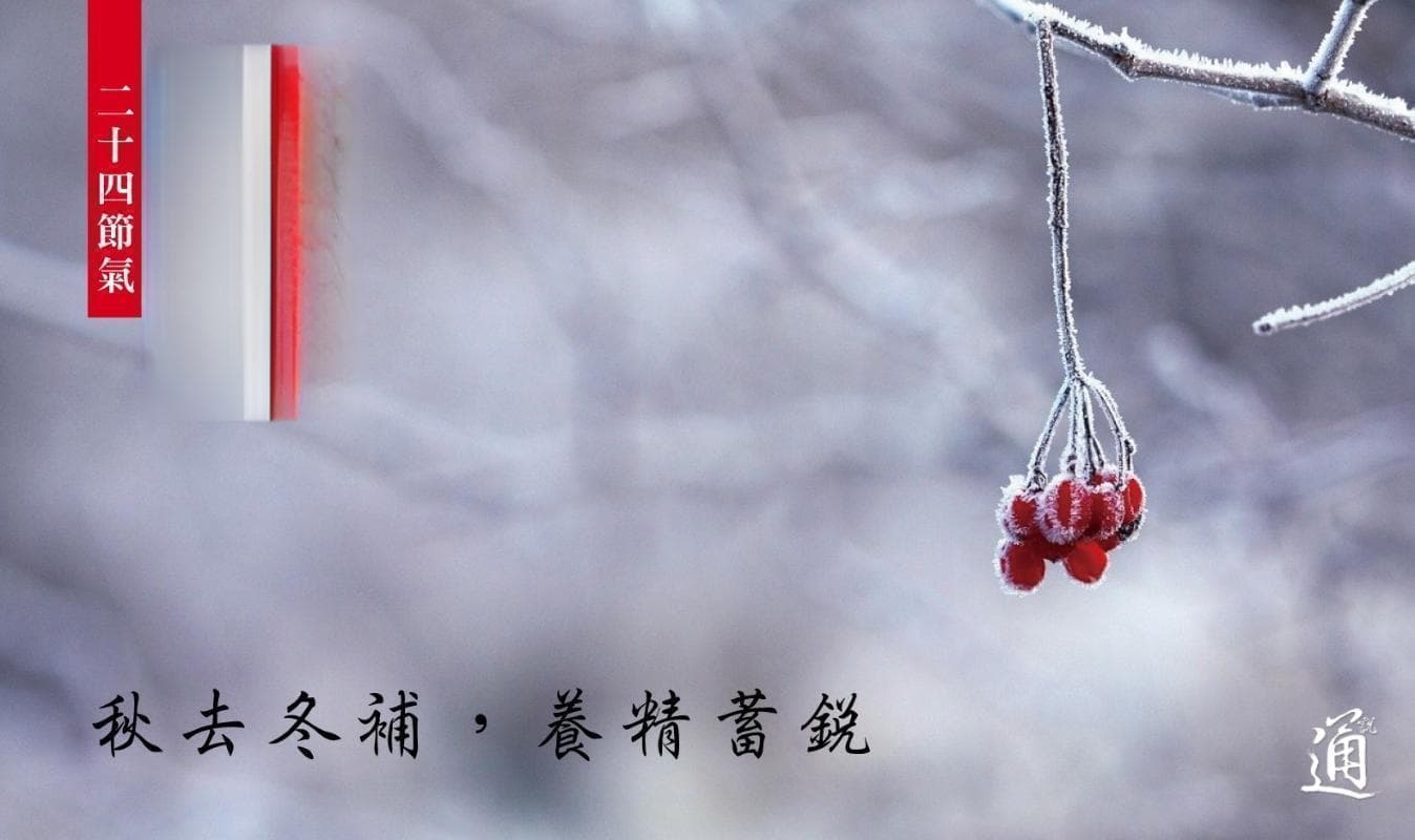 立冬节气禁忌多 养生饮食一文看